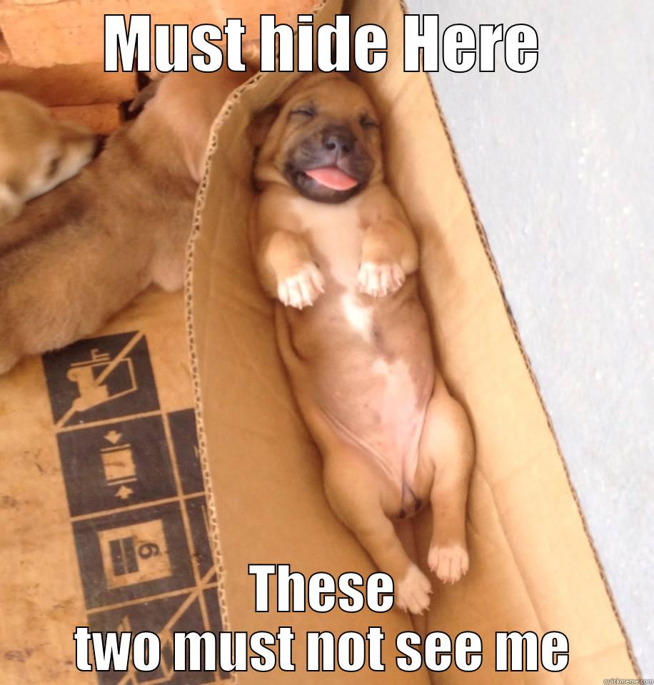 MUST HIDE HERE THESE TWO MUST NOT SEE ME Misc