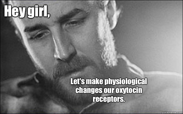 Hey girl, Let's make physiological changes our oxytocin receptors.
  Feminist Ryan Gosling