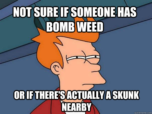 Not sure if someone has bomb weed Or if there's actually a skunk nearby  Futurama Fry