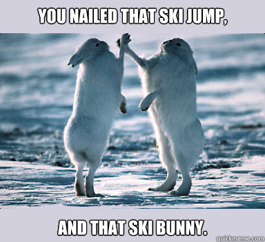 You nailed that ski jump, And That ski Bunny. - You nailed that ski jump, And That ski Bunny.  Bunny Bros