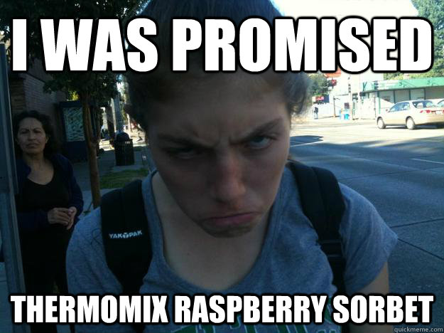 i was promised thermomix raspberry sorbet - i was promised thermomix raspberry sorbet  Upset Girl