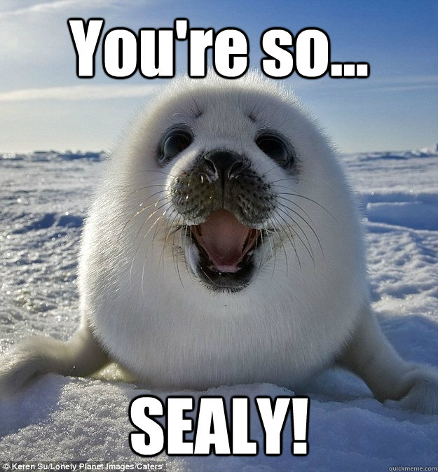 You're so... SEALY!  Easily Pleased Seal