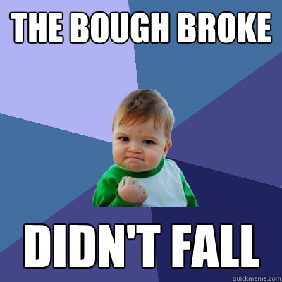 The bough broke Didn't fall  Success Kid