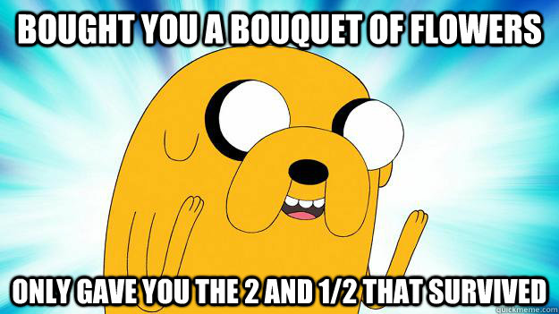 bought you a bouquet of flowers only gave you the 2 and 1/2 that survived  Jake The Dog