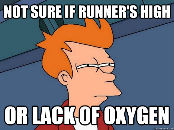 Not sure if runner's high Or lack of oxygen  Futurama Fry