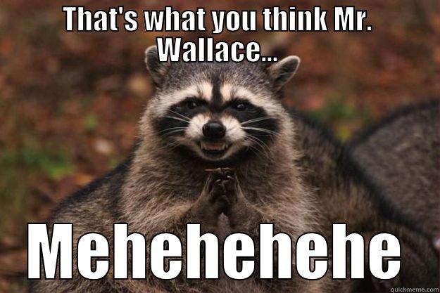 THAT'S WHAT YOU THINK MR. WALLACE... MEHEHEHEHE Evil Plotting Raccoon