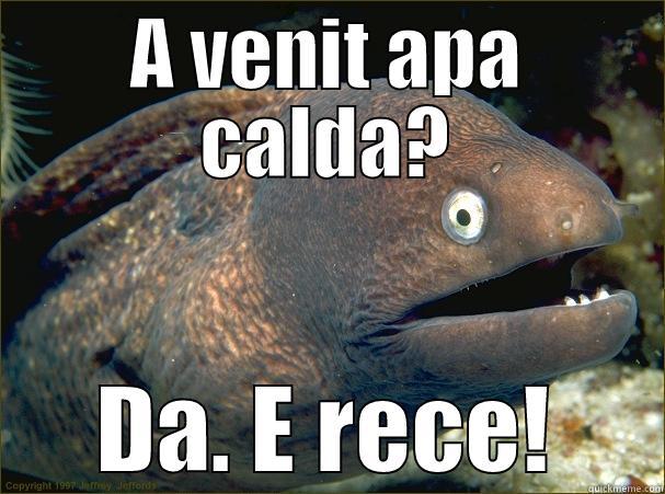 A VENIT APA CALDA? DA. E RECE! Bad Joke Eel