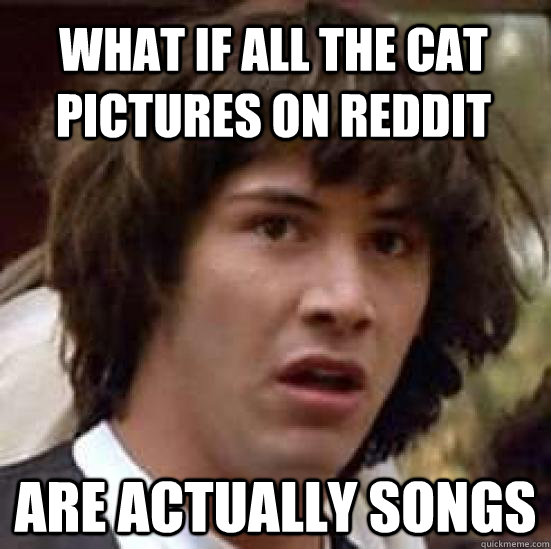 what if all the cat pictures on reddit are actually songs  conspiracy keanu