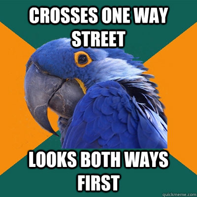 crosses one way street looks both ways first - crosses one way street looks both ways first  Paranoid Parrot