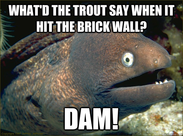 What'd the Trout say when it hit the brick wall? Dam!  Bad Joke Eel