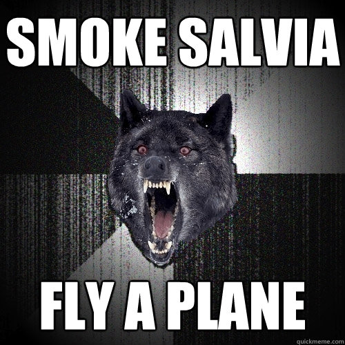 SMOKE SALVIA FLY A PLANE  Insanity Wolf