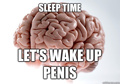 Sleep time Let's wake up penis   Scumbag Brain