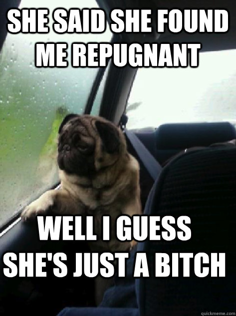 She said she found me repugnant Well I guess she's just a bitch  Introspective Pug