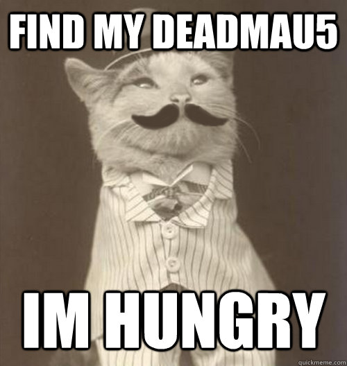 find my deadmau5  im hungry  Original Business Cat