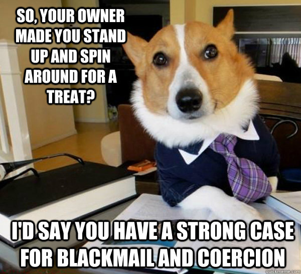 So, your owner made you stand up and spin around for a treat? I'd say you have a strong case for blackmail and coercion   Lawyer Dog