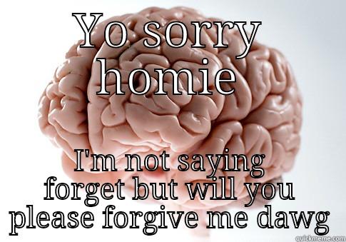 I fucked up  - YO SORRY HOMIE I'M NOT SAYING FORGET BUT WILL YOU PLEASE FORGIVE ME DAWG Scumbag Brain