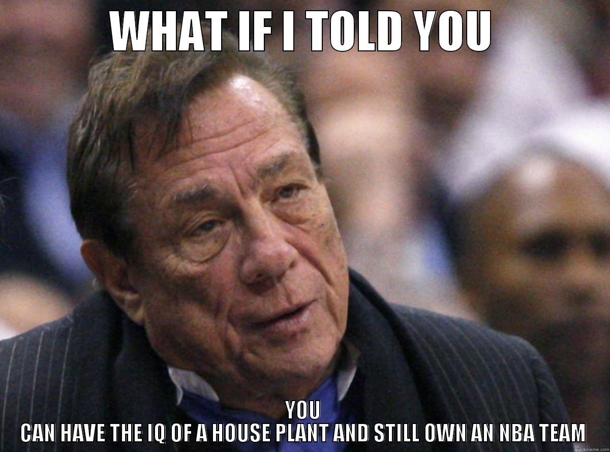 Sterling dumbass - WHAT IF I TOLD YOU YOU CAN HAVE THE IQ OF A HOUSE PLANT AND STILL OWN AN NBA TEAM Misc