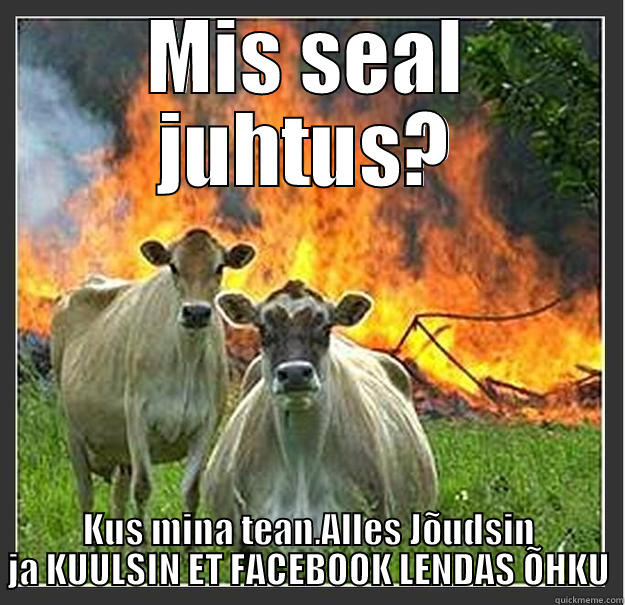 LOOOOL FUNNY - MIS SEAL JUHTUS? KUS MINA TEAN.ALLES JÕUDSIN JA KUULSIN ET FACEBOOK LENDAS ÕHKU Evil cows