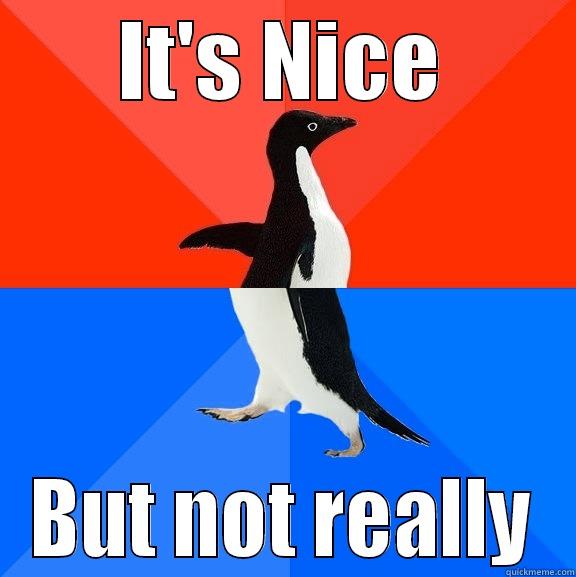 IT'S NICE BUT NOT REALLY Socially Awesome Awkward Penguin