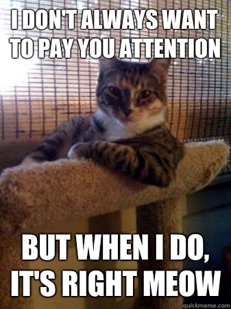 I don't always want to pay you attention but when I do, it's right meow  The Most Interesting Cat in the World