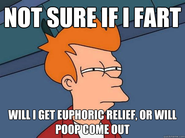 Not sure if I fart will I get euphoric relief, or will poop come out  Futurama Fry