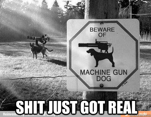 Shit just got real  Machine Gun Dog