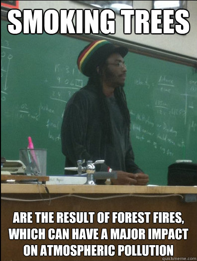 Smoking trees are the result of forest fires, which can have a major impact on atmospheric pollution  Rasta Science Teacher