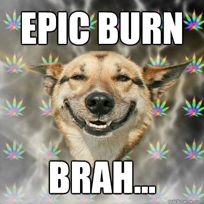 Epic Burn Brah...  Stoner Dog