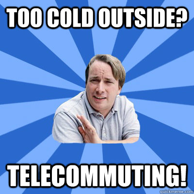 Too cold outside? telecommuting! - Too cold outside? telecommuting!  typicalprogrammer