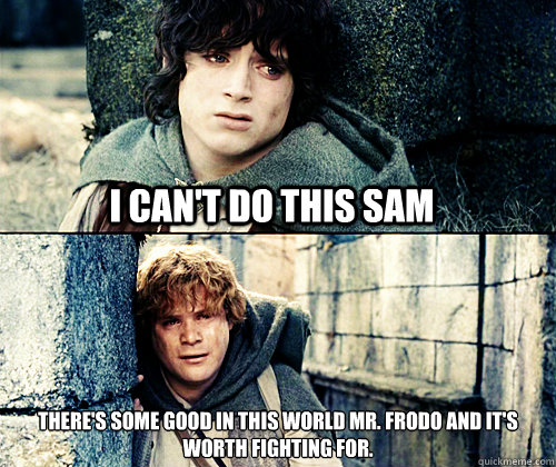 I can't do this sam There's some good in this world Mr. Frodo and it's worth fighting for. - I can't do this sam There's some good in this world Mr. Frodo and it's worth fighting for.  I cant do this Sam