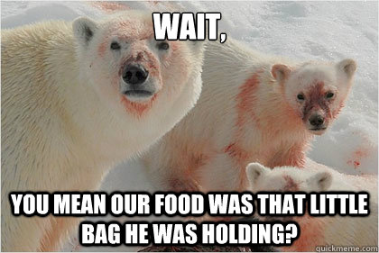 wait, you mean our food was that little bag he was holding?  Bad News Bears