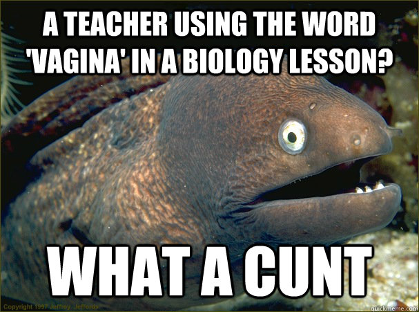 A teacher using the word 'Vagina' in a biology lesson? what a cunt - A teacher using the word 'Vagina' in a biology lesson? what a cunt  Bad Joke Eel