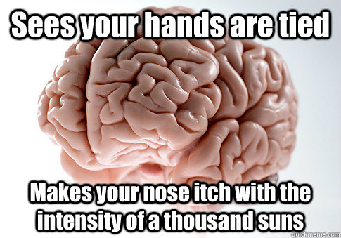 Sees your hands are tied Makes your nose itch with the intensity of a thousand suns  Caption 4 goes here  Scumbag Brain