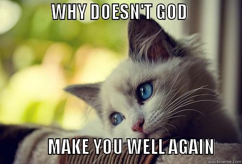 WHY DOESN'T GOD MAKE YOU  -                WHY DOESN'T GOD                                      MAKE YOU WELL AGAIN        First World Problems Cat