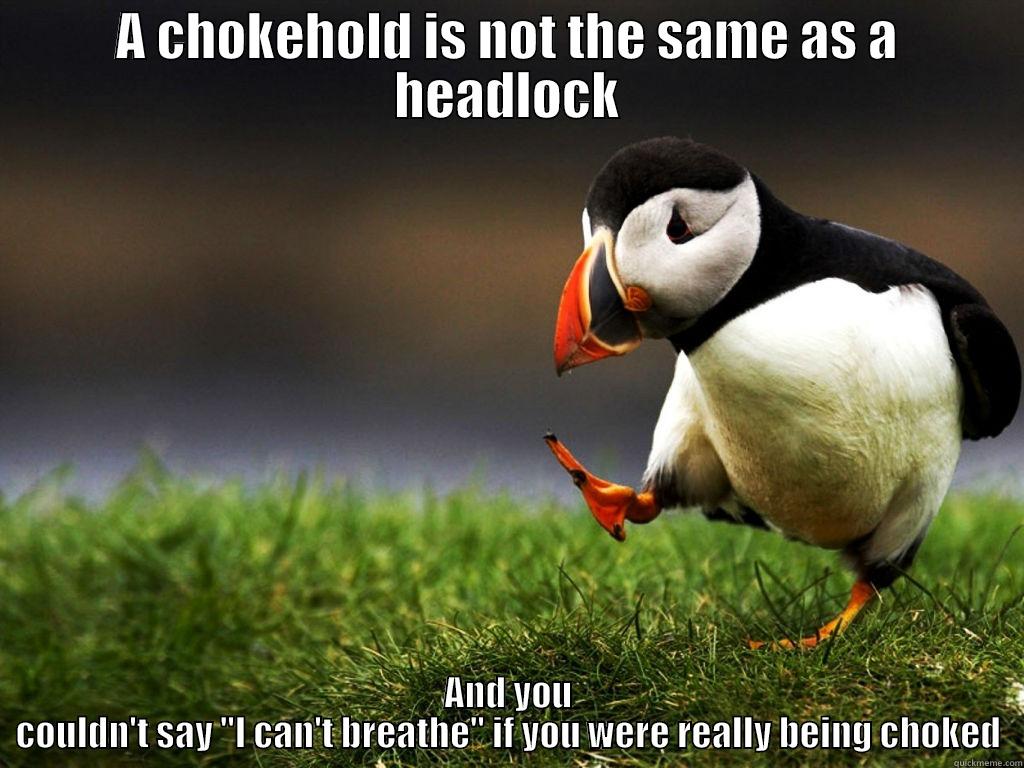 A CHOKEHOLD IS NOT THE SAME AS A HEADLOCK AND YOU COULDN'T SAY 