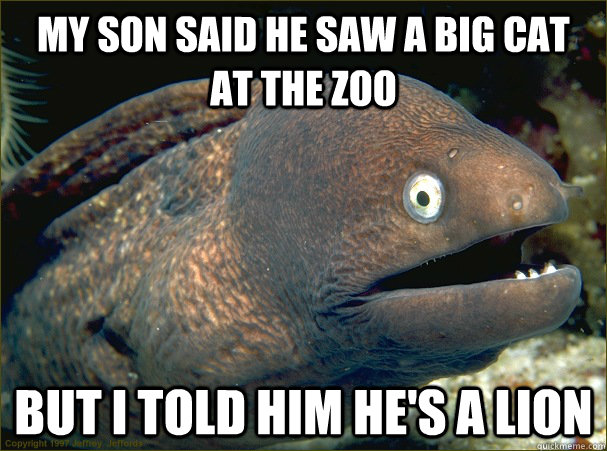 My son said he saw a big cat at the zoo but i told him he's a lion - My son said he saw a big cat at the zoo but i told him he's a lion  Bad Joke Eel