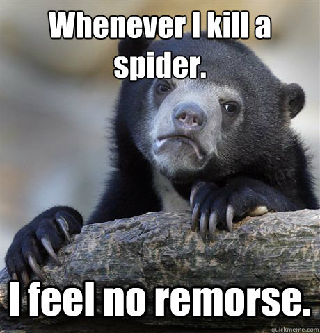 Whenever I kill a 
spider. I feel no remorse.  Confession Bear