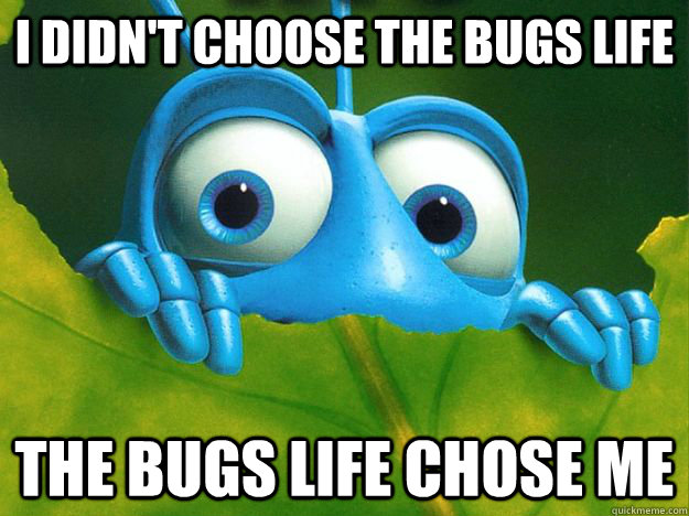 I didn't choose the bugs life the bugs life chose me - I didn't choose the bugs life the bugs life chose me  Bugs life