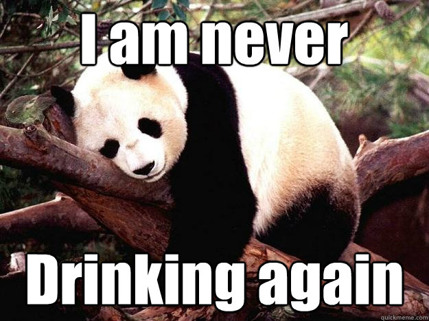 I am never Drinking again - I am never Drinking again  Procrastination Panda