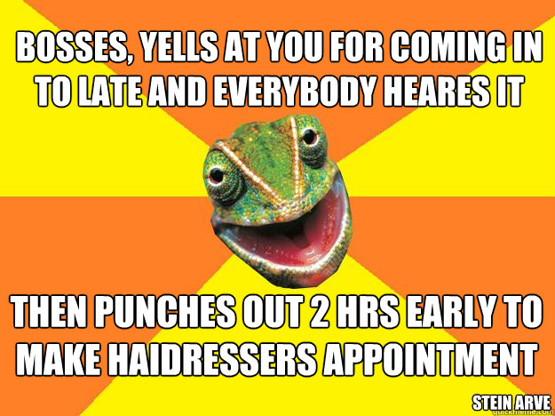 bosses, yells at you for coming in to late and everybody heares it then punches out 2 hrs early to make haidressers appointment stein arve  Karma Chameleon