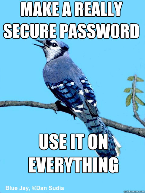 make a really secure password use it on everything  Blue Team Bird