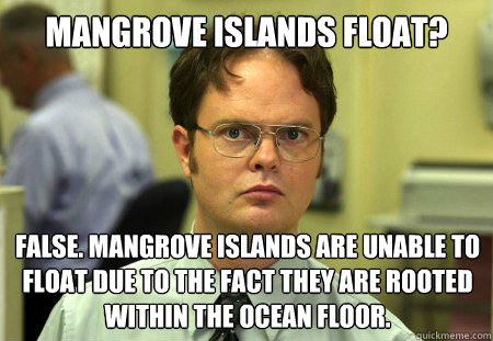 Mangrove Islands Float? False. Mangrove Islands are unable to float due to the fact they are rooted within the ocean floor.  Dwight