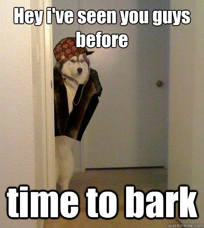 Hey i've seen you guys before time to bark  Scumbag dog