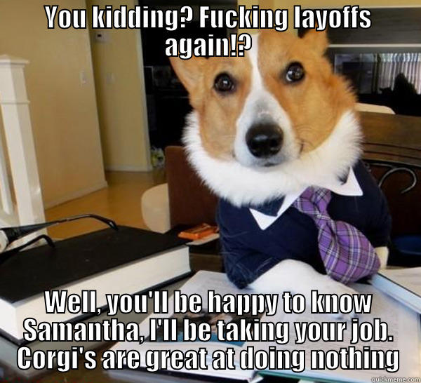 Layoffs again!? - YOU KIDDING? FUCKING LAYOFFS AGAIN!? WELL, YOU'LL BE HAPPY TO KNOW SAMANTHA, I'LL BE TAKING YOUR JOB. CORGI'S ARE GREAT AT DOING NOTHING Lawyer Dog