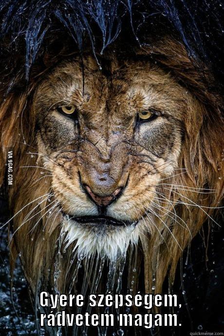 Nasty Male Lion -  GYERE SZÉPSÉGEM, RÁDVETEM MAGAM. Misc