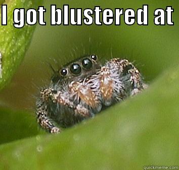 I GOT BLUSTERED AT   Misunderstood Spider