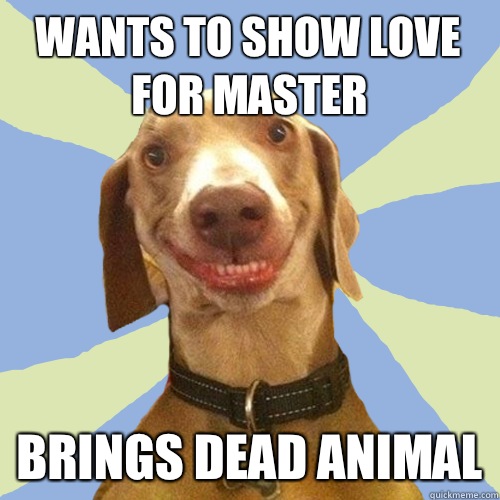 Wants to show love for master Brings dead animal  Disgusting Doggy