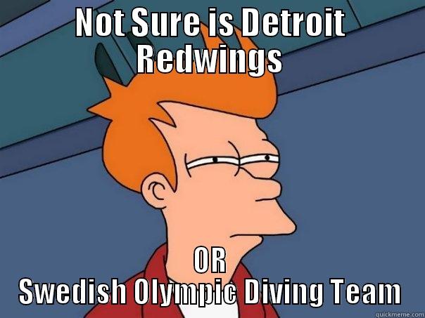 NOT SURE IS DETROIT REDWINGS OR SWEDISH OLYMPIC DIVING TEAM Futurama Fry