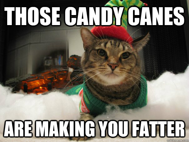 those candy canes Are making you fatter - those candy canes Are making you fatter  Unamused Elf Cat