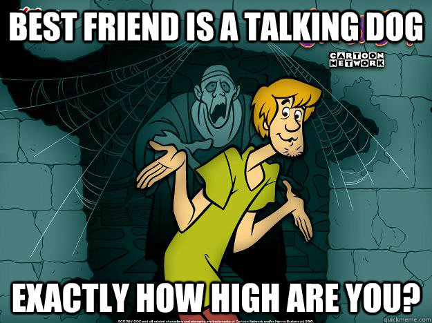 best friend is a talking dog exactly how high are you?  Irrational Shaggy